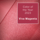 color of the year for 2023: Viva Magenta by Pantone
