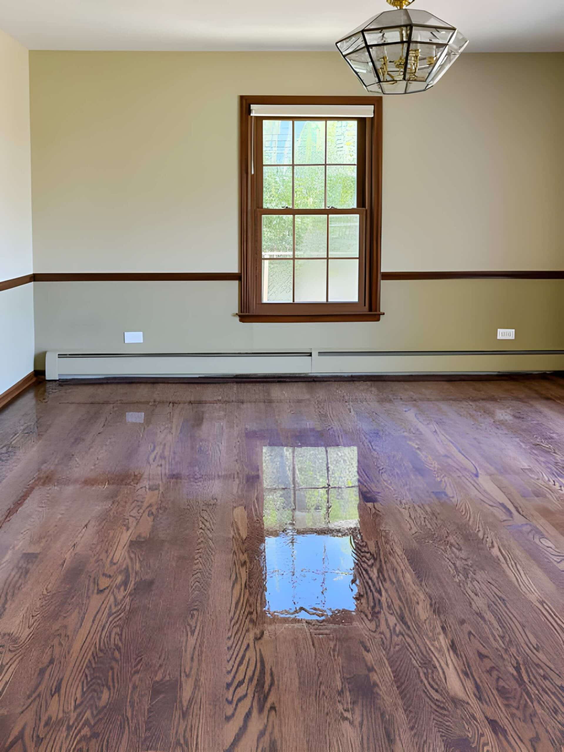 Improve home with better windows